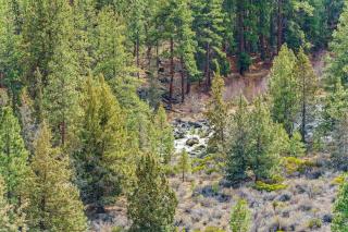 River Ridge 429B studio - 1