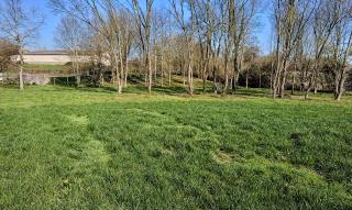 Bed and Breakfast en Sarthe - 3