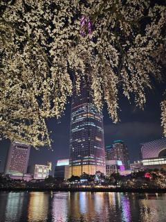 Hej hi home#Lotte World Jamsil#Lotte Tower,#KSPO Dome#JYP#COEX#Asan Medical Center#Song-Su - 8