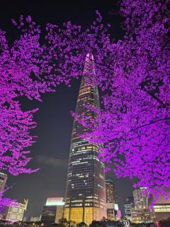 Hej hi home#Lotte World Jamsil#Lotte Tower,#KSPO Dome#JYP#COEX#Asan Medical Center#Song-Su - 9