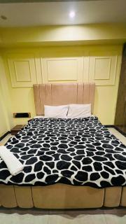 2 bedroom apartment - 0