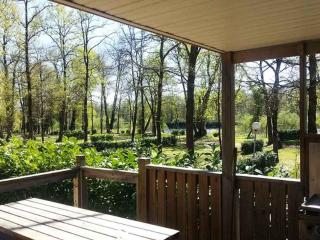 Mobil home terrasse - 5 pers. - API-1-52-2174 - 8