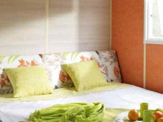 Mobil home terrasse - 5 pers. - API-1-52-2174 - 6