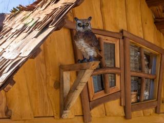 Cabane avec terrasse - 4 pers. - API-1-52-2134 - 7