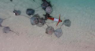 Adroit Sunset View - 8