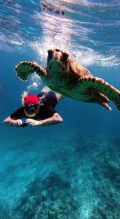 Adroit Sunset View - 6