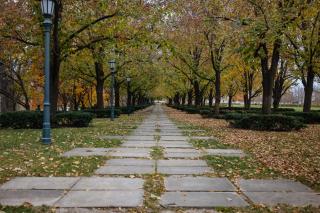 Boutique Apartment in 1905 Victorian Home - Plaza - Westport - 9