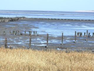 Ferienwohnung 1 Nordsee Gulfhof Dornum - mit großem Garten - 3