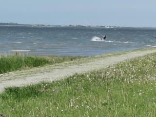 Ferienwohnung 1 Nordsee Gulfhof Dornum - mit großem Garten - 1