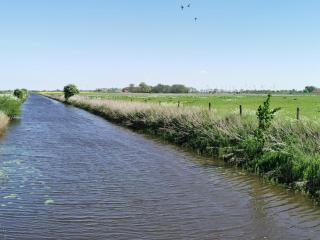 Ferienwohnung 1 Nordsee Gulfhof Dornum - mit großem Garten - 6
