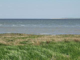 Ferienwohnung 1 Nordsee Gulfhof Dornum - mit großem Garten - 5