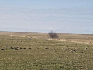 Ferienwohnung 1 Nordsee Gulfhof Dornum - mit großem Garten - 8