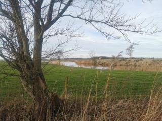 Ferienwohnung 1 Nordsee Gulfhof Dornum - mit großem Garten - 7
