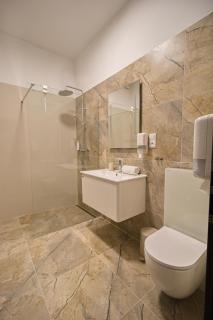 Wellness Hotel Orlík - Kozárovice - 4