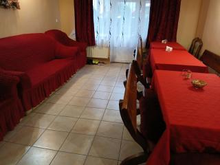 PENSIUNEA ANA Transalpina - 7