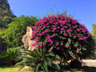 Snow Lion Riverside Resort - 5