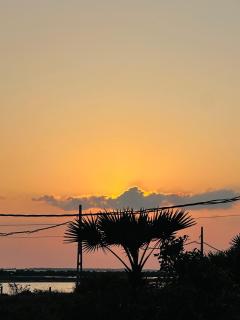 Sigiriya Rock Gate Tree House - 1