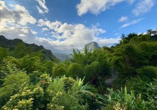 L'Ecrin d'Anchaing - 2