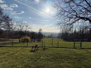 Chalupa u lesa v Železných horách - 8