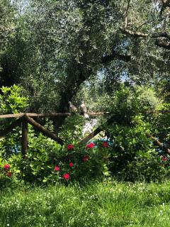 Via Belvedere 50 - 2