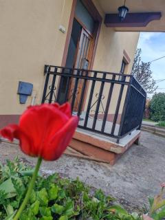 Integrita Forza - 1