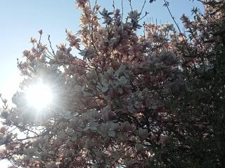 La Parenthèse gîte à la campagne - 4
