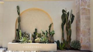 D Luxury Villas Phu Quoc - 7