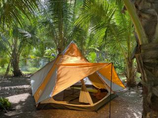 Green Pearl Paradise - 4