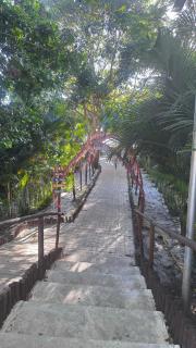 Ondas Praia Resort - 6