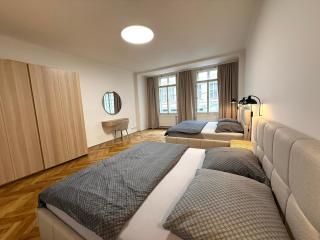 Spacious Apartment on Wenceslas Square - 8