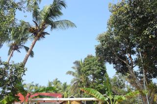 Nirvana Nest AT Horsley Hills - 2