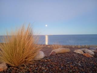 Refugio Vegetariano Quilembay - 9