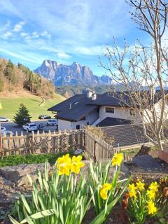 B&B Gasthaus Lieg - Castelrotto - 7