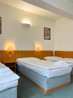 Hotel Astra - Prague - 1