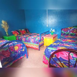 Accomodation Economic Prívate Rooms - 5