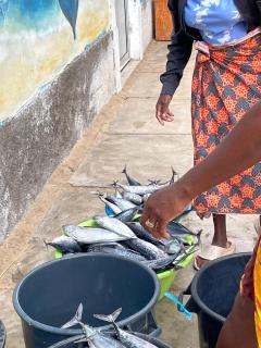 Casa de FeriasTarrafal de Santiago - 8