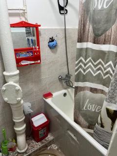 Flat in mountains - 1