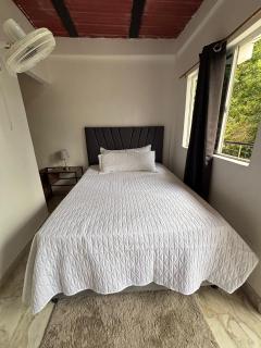 Minca nomada 517 de la sierra - 0