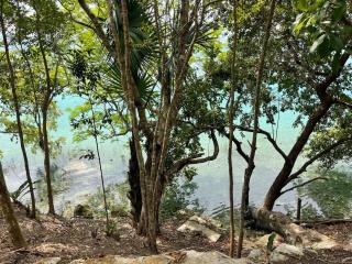 Deluxe loft with direct access to the lagoon - 2