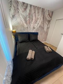 Apartment Comfort Premium - 3