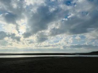 Trees and Waterfalls, Snowdonia National Park - 6