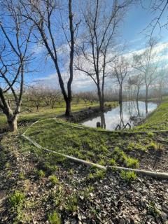 Casa de Vacanta Nora - 9