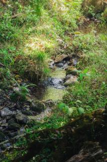 Cabaña en Santa María Eco de Kal - 4