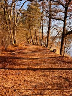 Maison Cromvoirt - 3