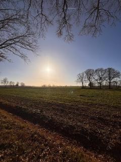 Maison Cromvoirt - 1