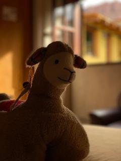 Retama - Tilcara - 1