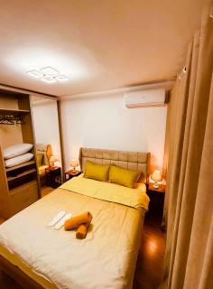 Victoriei Central Apartment by Prestige Stay - 3