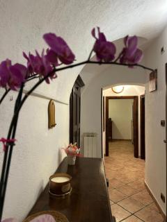 Il Dolce Rustico - 7