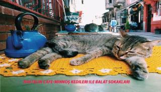 Newly-renovated apartment 3-BR, LR, 2 AC - 6