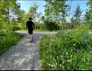 Modern Cozy Room in Vaughan - 1
